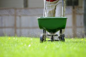 Tree fertilizing and aerating