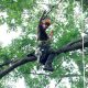 Why it is important for your arborist to be certified?