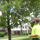 Watering trees