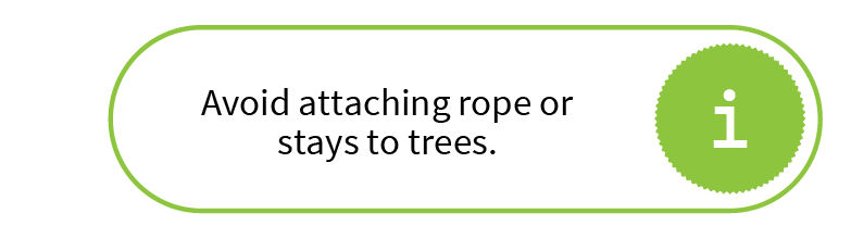 Avoid attaching rope or stays to trees.