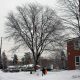 Repair trees damaged in 2013 ice storm