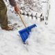 Deicing salt can harm landscape plants